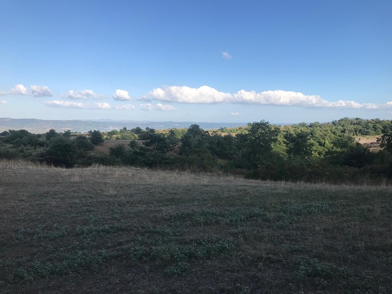 Terreno agricolo in Vendita a Gradoli, 29'000€, 56000 m²