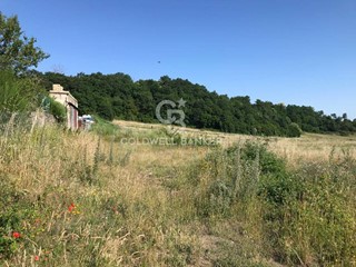 Terreno agricolo in Vendita a Gradoli, 19'000€, 25000 m²
