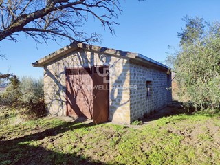 Terreno agricolo in Vendita a Farnese, 49'000&euro;, 11000 m²