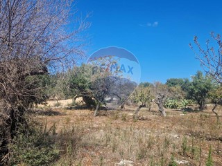 Terreno agricolo in Vendita a Monopoli, 13'000€, 4130 m²