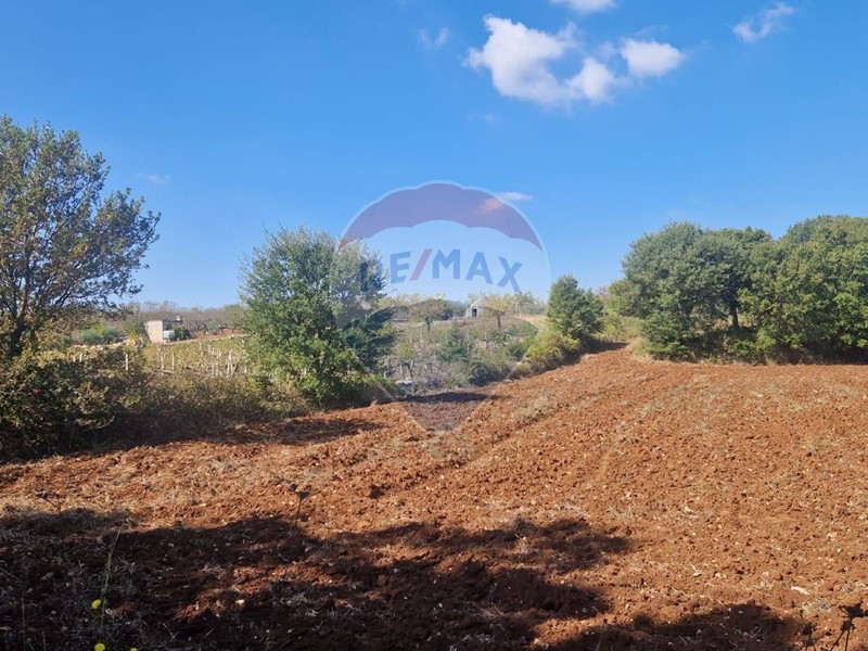 Terreno agricolo in Vendita a Monopoli, 13'000€, 8537 m²