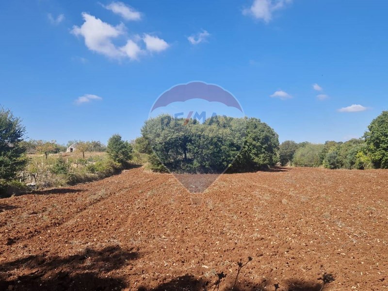 Terreno agricolo in Vendita a Monopoli, 5'000€, 2083 m²
