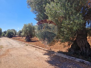 Terreno edificabile in Vendita a Monopoli, 100'000€, 13633 m²