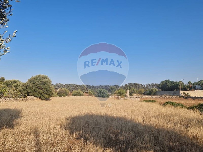 Terreno agricolo in Vendita a Monopoli, 25'000€, 2000 m²