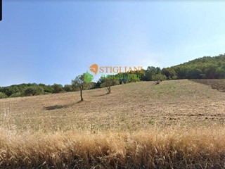 Terreno agricolo in Vendita a Gildone, 15'000€, 4950 m²