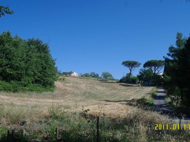 Terreno agricolo in Vendita a Ripalimosani, 18000 m²