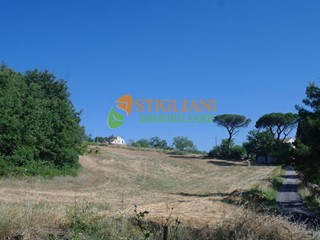 Terreno agricolo in Vendita a Ripalimosani, 4000 m²
