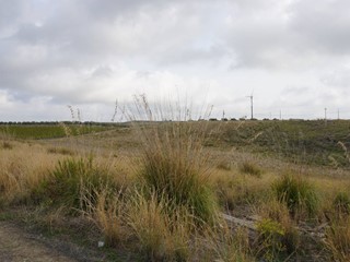 Terreno agricolo in Vendita a Castelvetrano, 30'000&euro;, 50800 m²