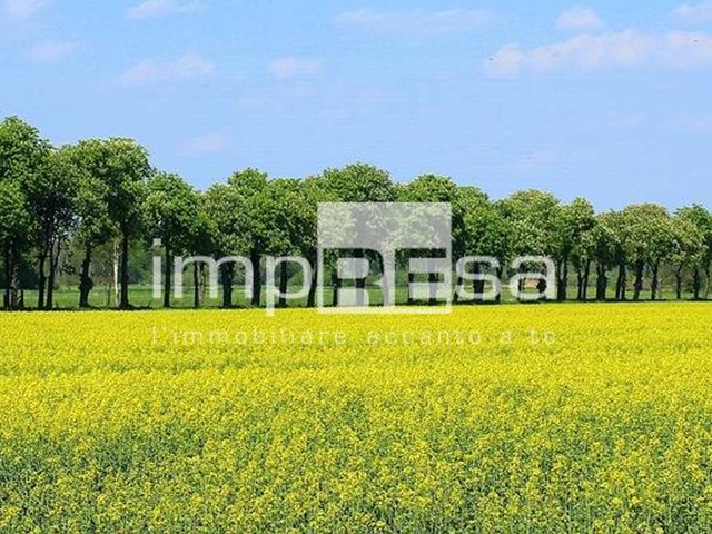 Terreno agricolo in Vendita a Montebelluna, 160'500€, 11 m²