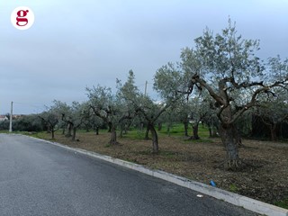 Terreno edificabile in Vendita a Vasto, 99'000€, 3600 m²