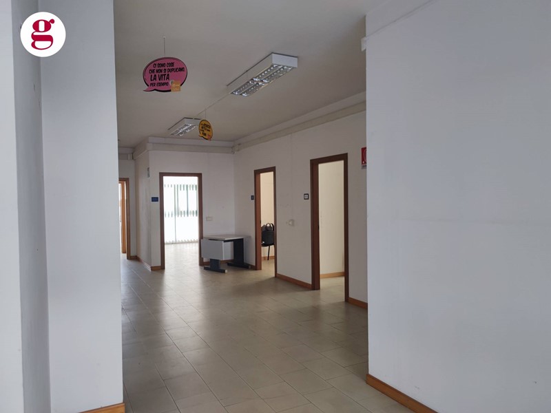 Immobile commerciale in Affitto a Vasto, 2'500&euro;, 388 m²