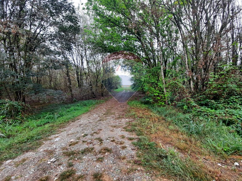 Terreno edificabile in Vendita a Casalbeltrame, 280'000€, 20000 m²