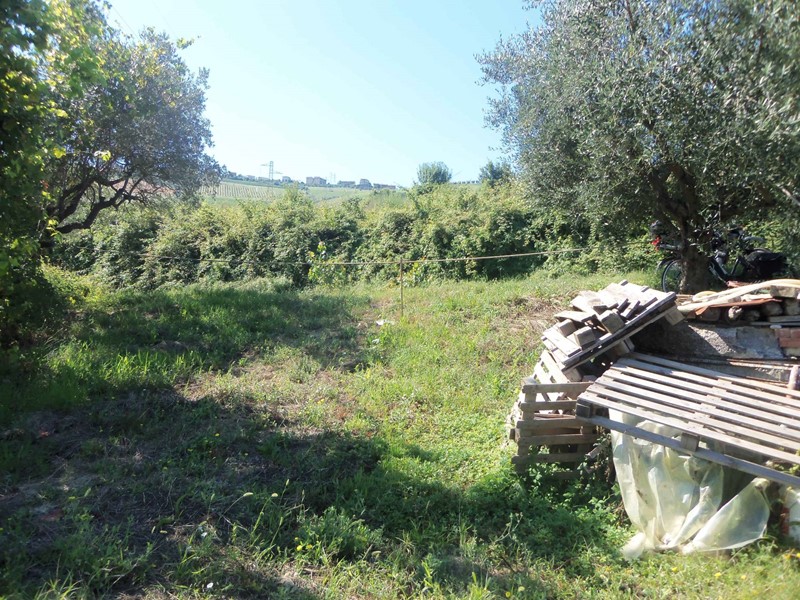 Terreno agricolo in Vendita a Acquaviva Picena, 26'000€, 3685 m²
