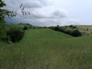 Terreno agricolo in Vendita a Acquaviva Picena, 50'000€, 19940 m²