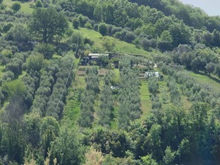 Terreno agricolo in Vendita a Acquaviva Picena, 30'000€, 6480 m²