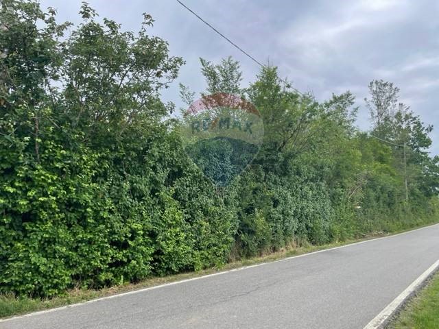 Terreno agricolo in Vendita a Masio, 30'000€, 3350 m²