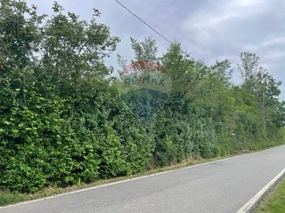 Terreno agricolo in Vendita a Masio, 30'000€, 3350 m²