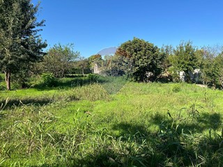 Terreno edificabile in Vendita a Belgioioso, 60'000€, 1067 m²