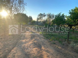 Terreno agricolo in Vendita a Alezio, 17'000€, 1525 m²