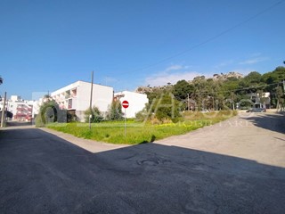 Terreno edificabile in Vendita a Gallipoli, 315'000€, 1262 m²