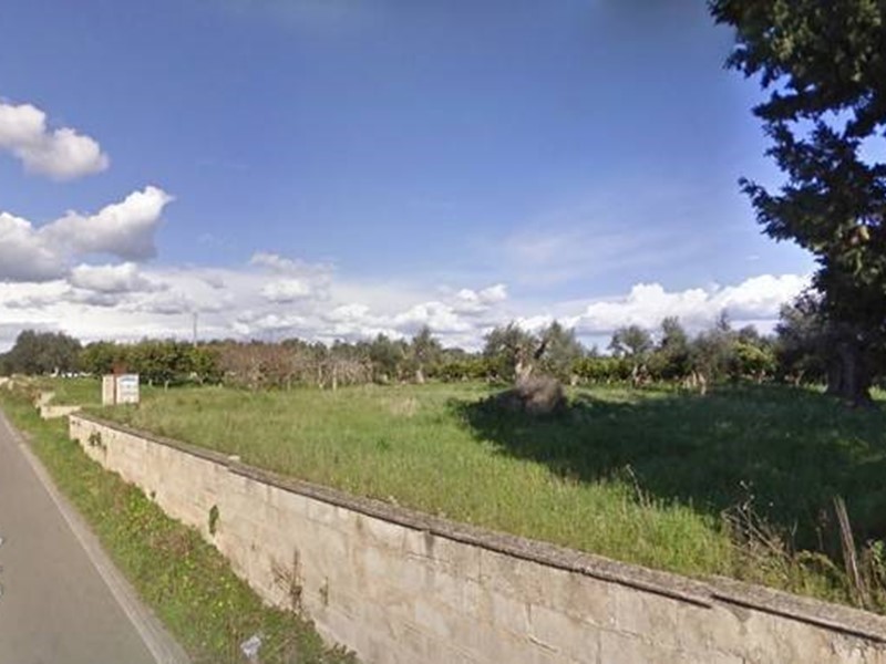 Terreno agricolo in Vendita a Alezio, 55'000€, 10000 m²