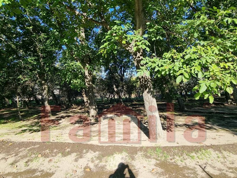 Terreno agricolo in Vendita a Avella, 123'000&euro;, 3000 m²