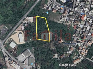 Terreno industriale in Vendita a Mugnano del Cardinale, 400'000€, 9932 m²