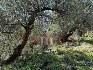 Terreno agricolo in Vendita a Quadrelle, 5'000€, 2300 m²