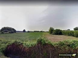 Terreno agricolo in Affitto a Massarosa, 300€, 2000 m²