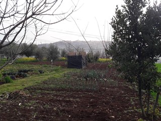 Terreno edificabile in Vendita a Cepagatti, 43'000€, 1600 m²