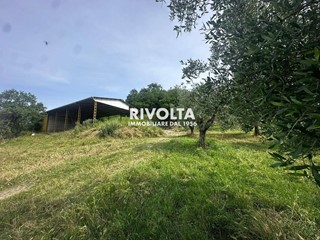 Terreno agricolo in Vendita a Collevecchio, 330'000&euro;, 500000 m²