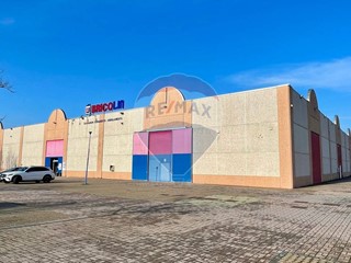 Immobile commerciale in Vendita a Fontevivo, 7'000'000&euro;, 4387 m²