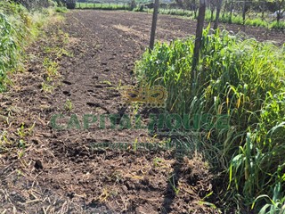 Terreno agricolo in Vendita a Recale, 54'000€, 2590 m²