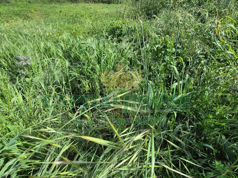 Terreno agricolo in Vendita a Recale, 32'000€, 2554 m²