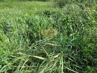 Terreno agricolo in Vendita a Recale, 32'000€, 2554 m²