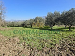 Terreno agricolo in Vendita a Sant'Agata de' Goti, 35'000€, 4300 m²