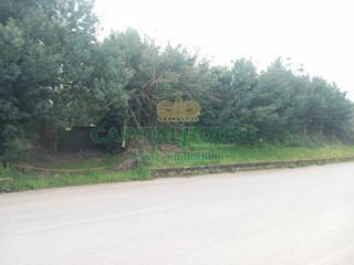 Terreno edificabile in Vendita a Pignataro Maggiore, 129'000€, 2160 m²