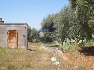 Terreno agricolo in Vendita a Fasano, 58'000€, 3500 m²