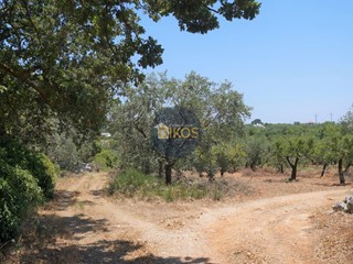 Terreno agricolo in Vendita a Monopoli, 46'000€, 13000 m²