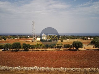 Terreno agricolo in Vendita a Polignano a Mare, 135'000€, 20000 m²