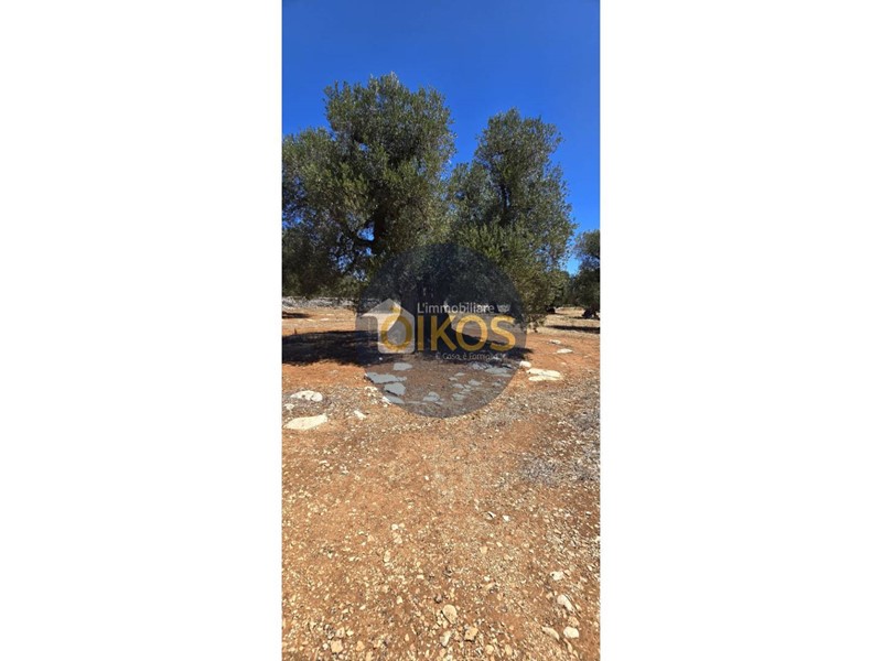 Terreno agricolo in Vendita a Monopoli, 90'000€, 15000 m²