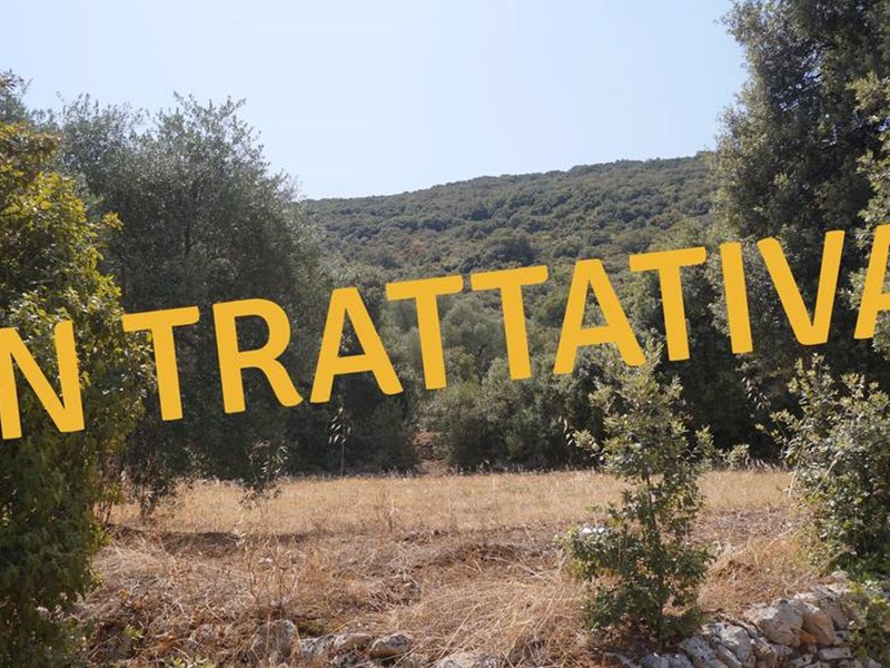 Terreno agricolo in Vendita a Monopoli, 6100 m²