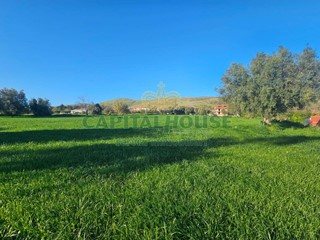 Terreno edificabile in Vendita a Pignataro Maggiore, 363'000€, 9054 m²