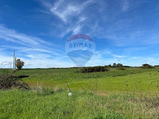 Terreno agricolo in Vendita a Anguillara Sabazia, 249'000€, 130000 m²