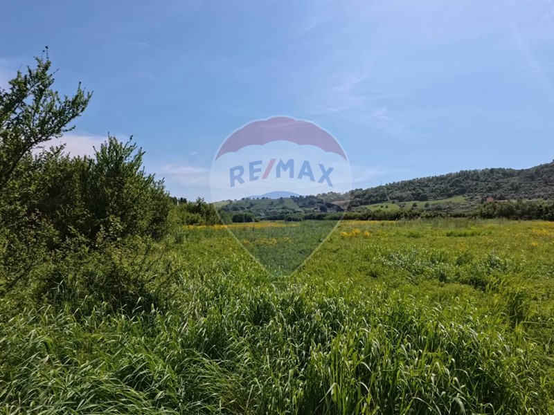 Terreno agricolo in Vendita a Campagnano di Roma, 20'000&euro;, 11200 m²