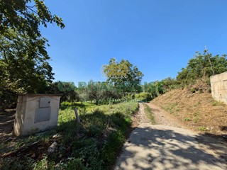 Terreno agricolo in Vendita a Cicciano, 39'000€, 6400 m²