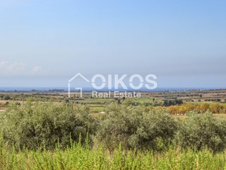 Terreno agricolo in Vendita a Noto, 80'000€, 140 m²