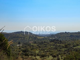 Terreno agricolo in Vendita a Avola, 65'000€, 11000 m²