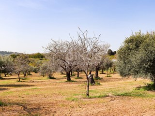 Terreno agricolo in Vendita a Noto, 190'000€, 11500 m²