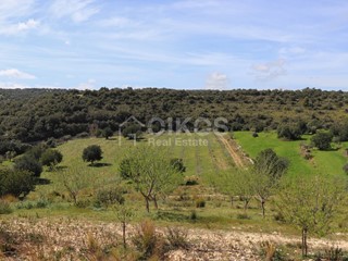 Terreno agricolo in Vendita a Noto, 300'000€, 60000 m²